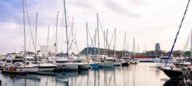 Abri bateau bois