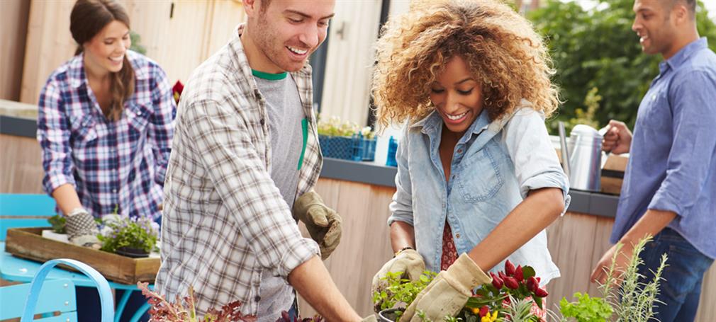 Greenhouses for urban farming