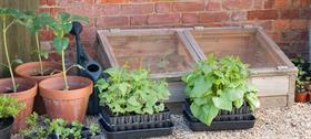 Mini greenhouses