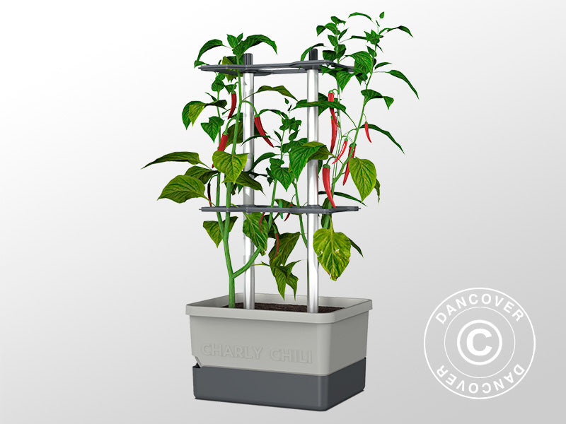 Planter, CHARLY CHILI, w/stake and water tank, Light Grey