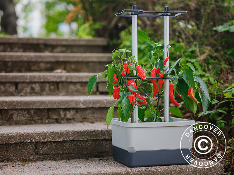 Plantenbak, CHARLY CHILI, met stok en waterreservoir, Lichtgrijs