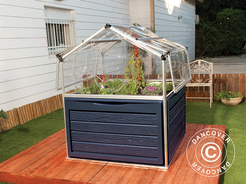 Mini Greenhouse PLANT INN, Palram/Canopia, 1.18x1.18x1.48 m, Clear