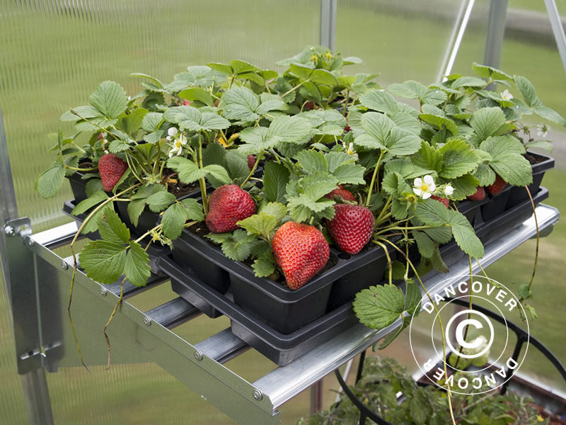 Mensola per serra, Robusta, Palram/Canopia, 58x42x20cm, Argento