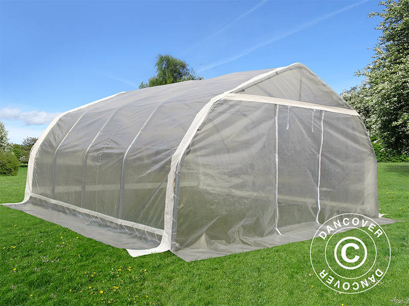 Polytunnel greenhouse, 5.4x6x2.9 m, PE, 32.4 m², Transparent