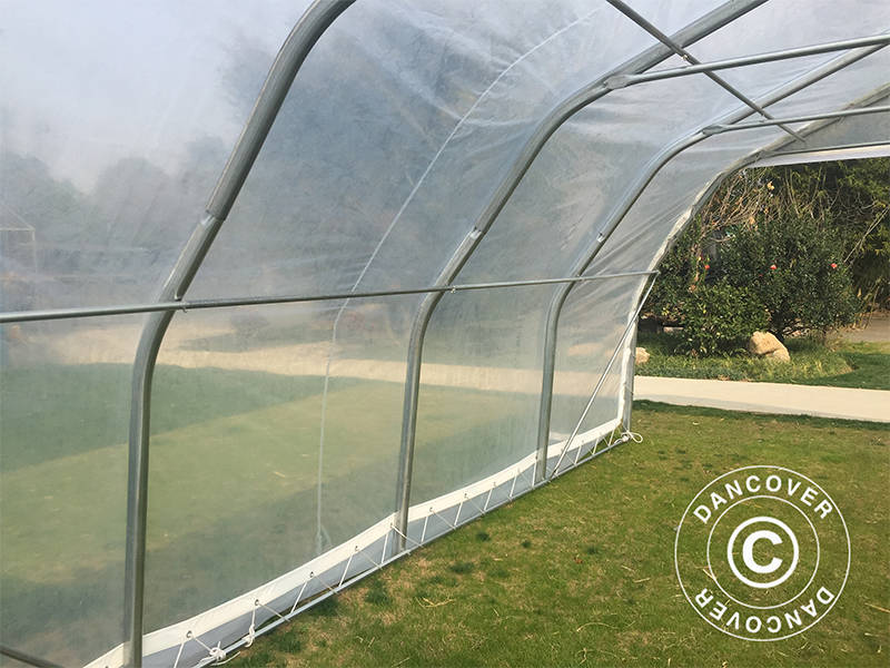 Polytunnel greenhouse, 5.4x6x2.9 m, PE, 32.4 m², Transparent