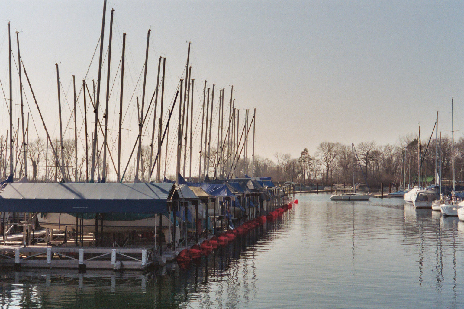 Tarpaulin 10x12 m, PVC 570 g/m², Blue