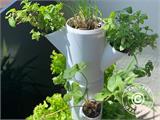 Wieża do sadzenia roślin, SISSI STRAWBERRY, pionowa, Biała