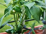 Supporto per piante rampicanti, CHILI BUDDY, Antracite/Argento