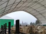 Capannone tenda/tunnel agricolo 9x15x4,42m, PVC, Verde