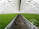 Commercial greenhouse tunnel, 10x16x3.95 m, Transparent