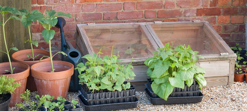 How to use your cold frame all year
