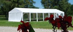 Tendoni per feste 6x12