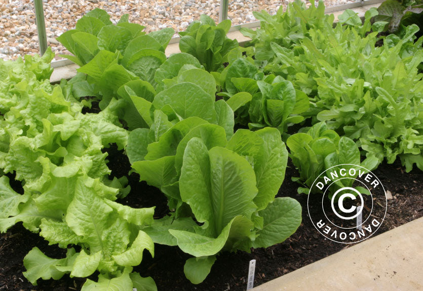 Juliana soil thermometer