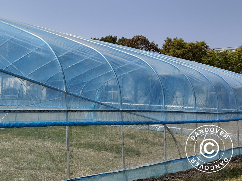 Pokrov za polytunnel staklenik GH18400, 6x10x2,5m, 100-mikronska PO folija, Prozirno