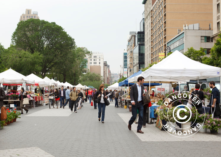 Tenda Dobrável FleXtents PRO Steel 4x4m Branco, Retardador de chamas