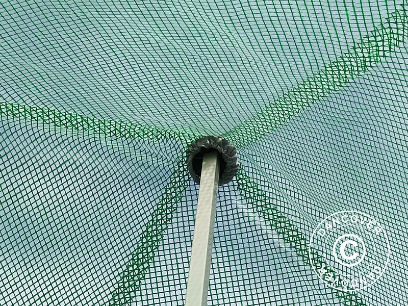 Serre FleX 2x2m, PE, Transparent/Vert