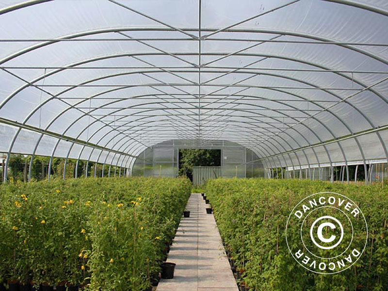 Tuinbouw tunnelkas, 9,7x16x3,95m, Transparant