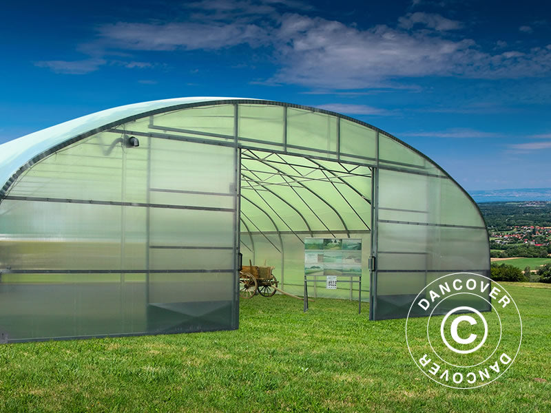 Serre tunnel professionnelle, 12x16x4,71m, Transparent