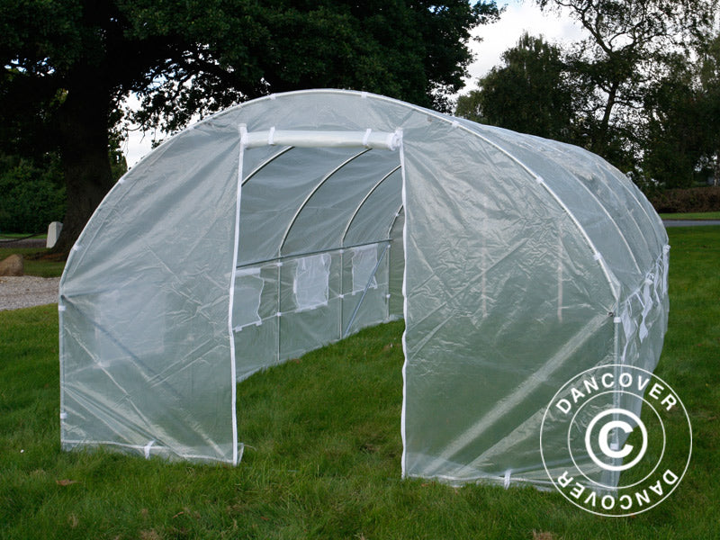 Polytunnel Greenhouse 3x6x2 m, 18 m², Transparent