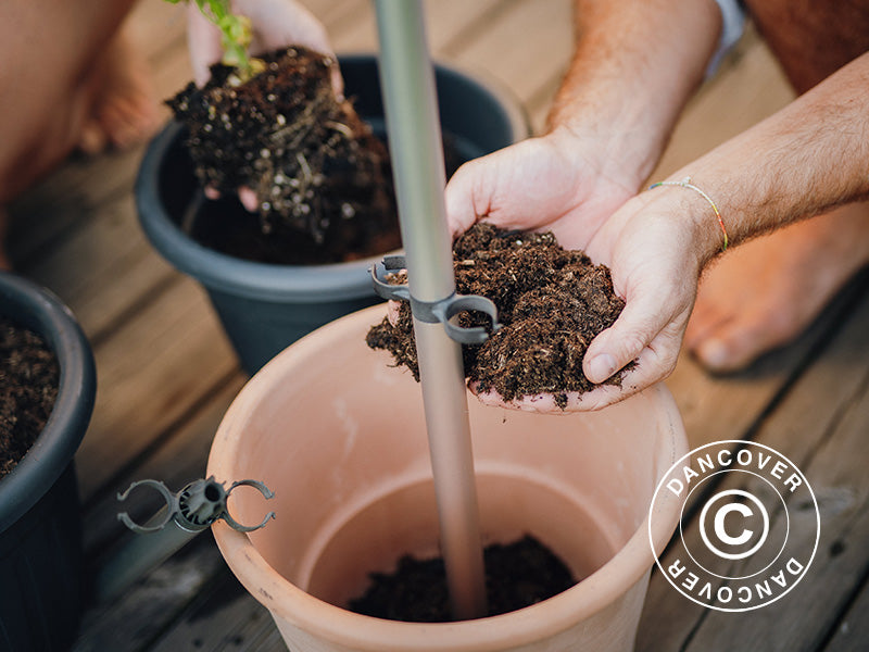 Auga balsts, TOMATO BUDDY, Antracīts/Sudrabots