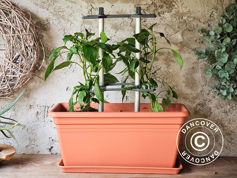 Potporanj za penjačice, CHILI BUDDY, Antracit/Srebrna