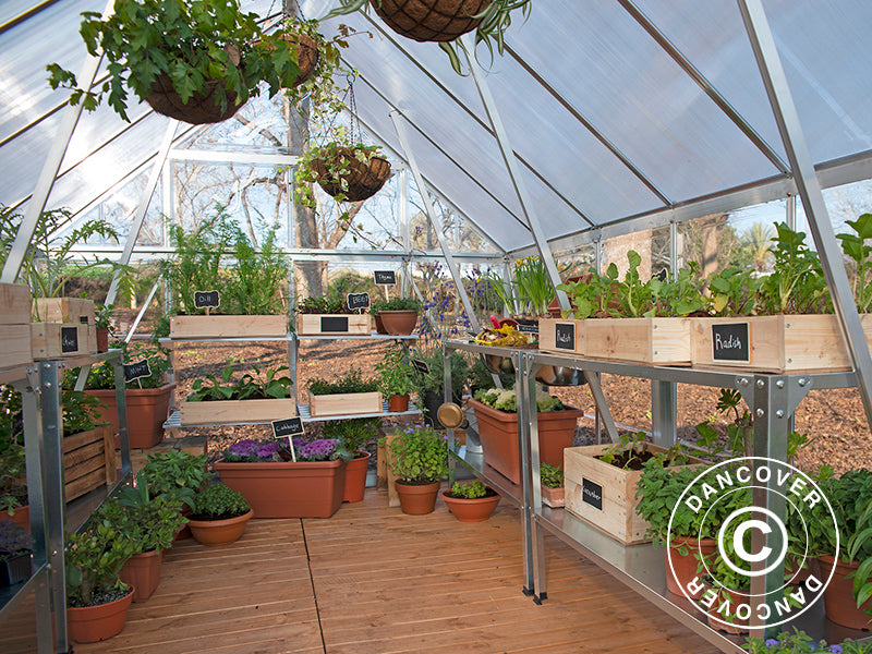 Greenhouse polycarbonate Balance 11.8 m², Palram/Canopia, 2.44x4.87x2.29 m, Silver