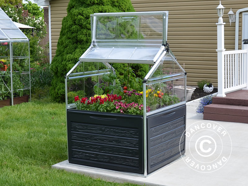 Mini Greenhouse 1.18x1.18m Clear Dancover – Order today