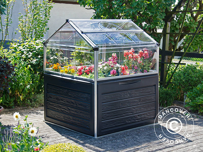 Mini Greenhouse 1.18x1.18m Clear Dancover – Order today