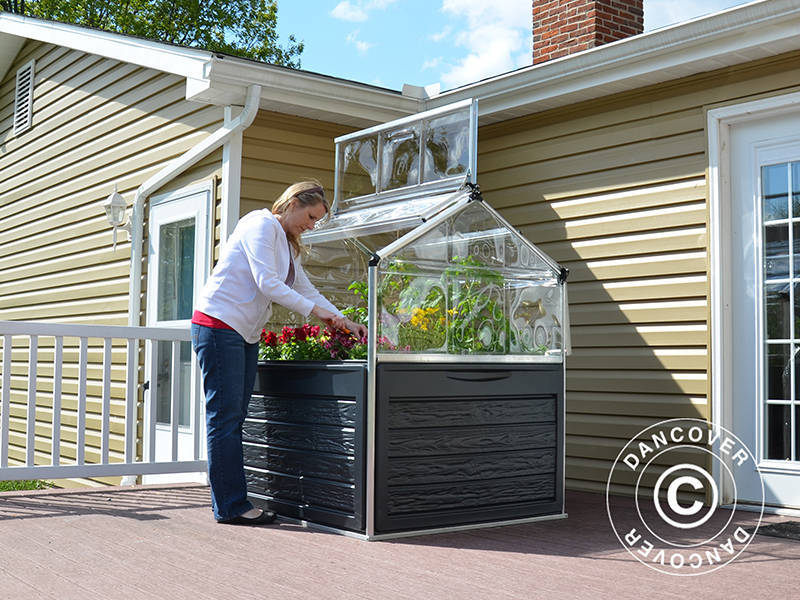 Mini Greenhouse 1.18x1.18m Clear Dancover – Order today