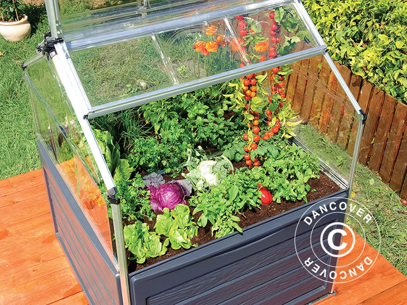 Mini Greenhouse PLANT INN, Palram/Canopia, 1.18x1.18x1.48 m, Clear