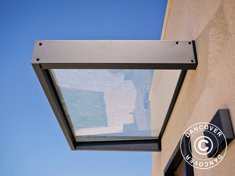 Türvordach Sophia 2150, Palram/Canopia, 0,95x2,15x0,17m, Dunkelgrau/Klar