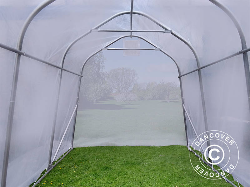 Polytunnel greenhouse, 2x3x2 m, PE, 6 m², Transparent