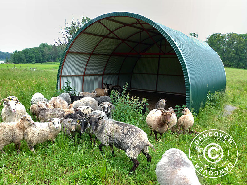 Arched Storage Shelter 5x6x3.23m Dark Green – Order online