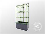 Kutija za sadnice CityJungle uklj. zimski pokrov, kutija za samozalijevanje, 62x33x128cm, Antracit